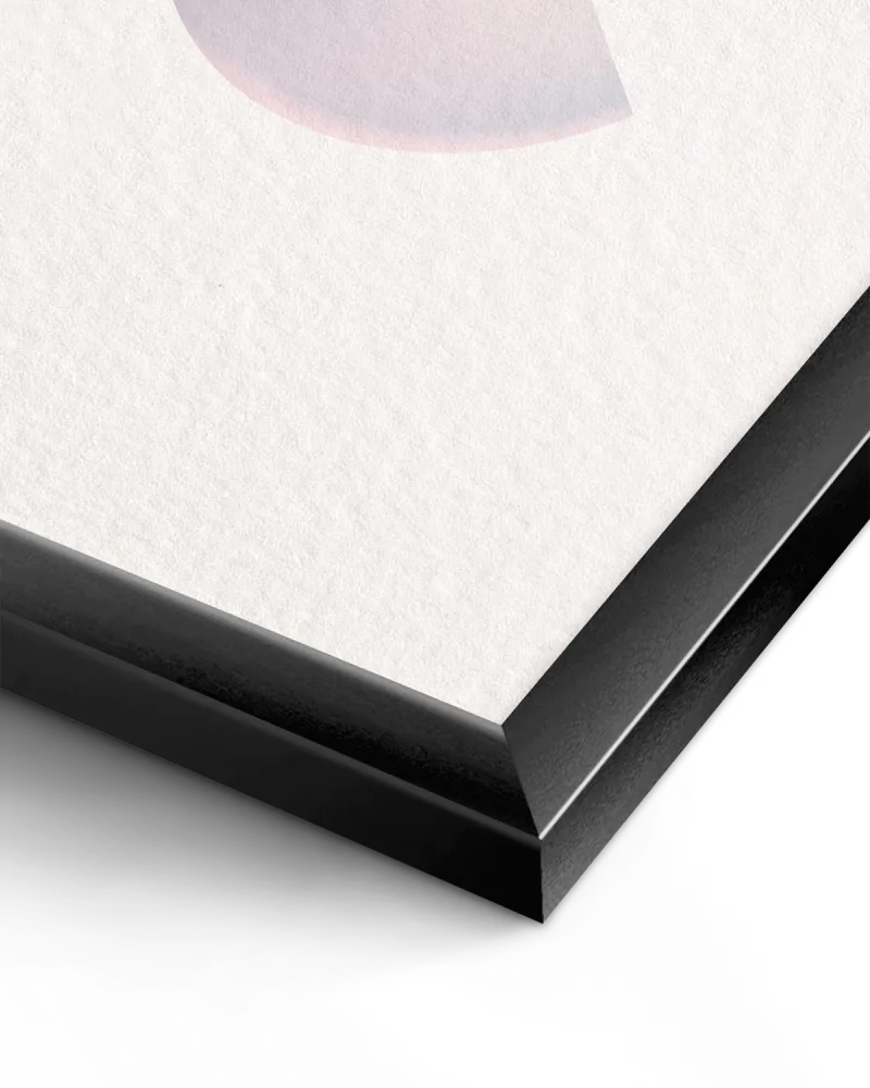 Metal Framed Posters